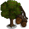 Updated Oak Tree
