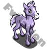 Purple Stallion Foal