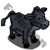 Irish Kerry Cow