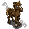 Place Holder for Chrome Pony Foal