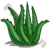 Super Aloe 